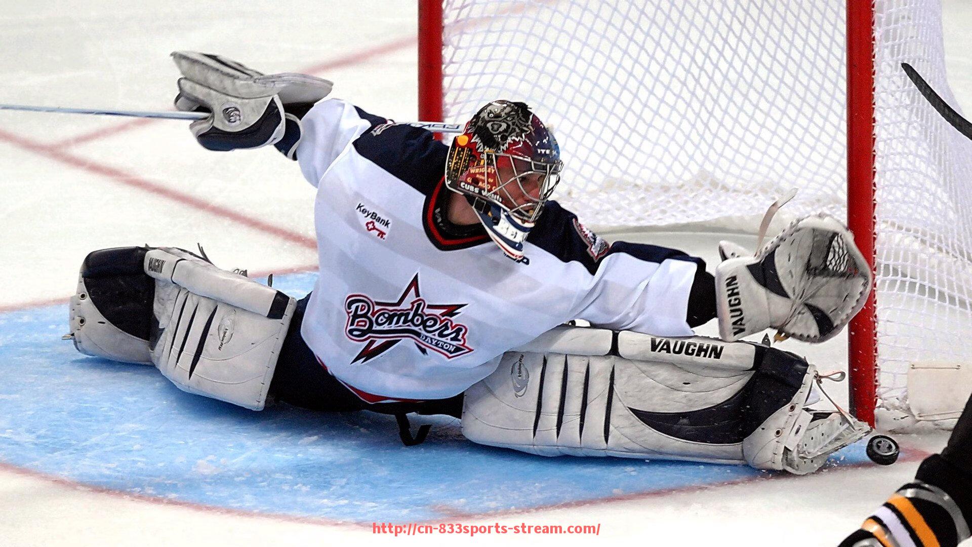 833体育直播-推腿健身器材推荐及正确使用方法详解